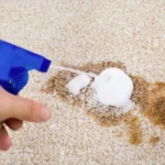Carpet Spill First Aid: What to Do in 5 Minutes