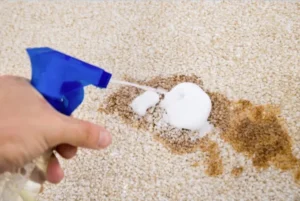 Read more about the article Carpet Spill First Aid: What to Do in 5 Minutes
